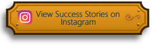 View success stories on instagram